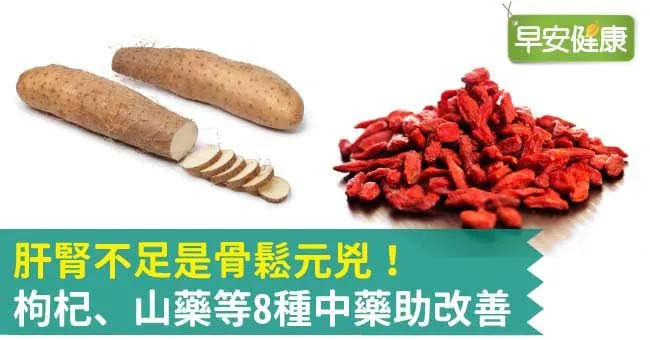 肝腎不足是骨鬆元兇！枸杞、山藥等8種中藥助改善