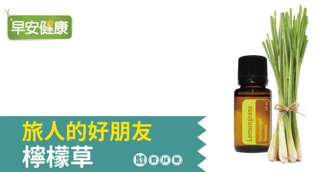 檸檬草--旅人的好朋友
