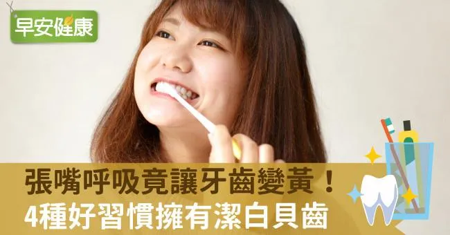 張嘴呼吸竟讓牙齒變黃！4種好習慣擁有潔白貝齒