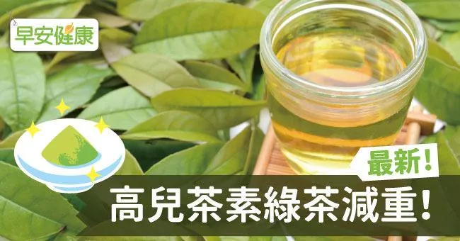 最新！高兒茶素綠茶減重！