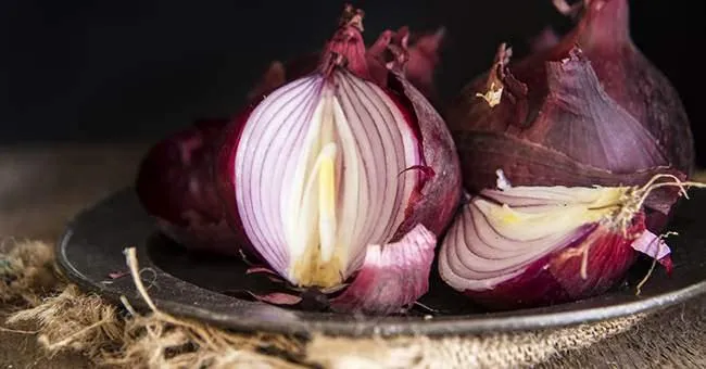 紅洋蔥萃取物對大腸癌及乳癌的可能功效