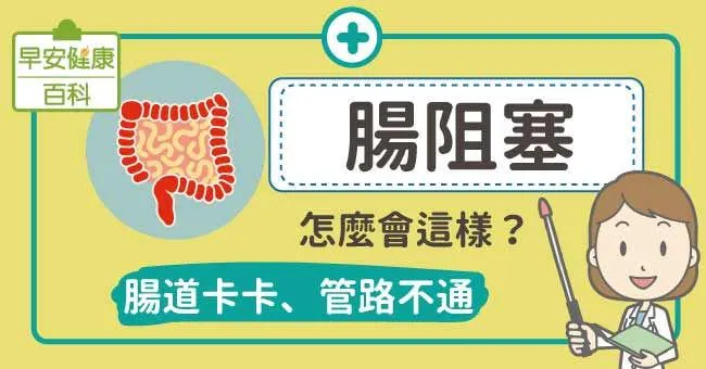 腸阻塞跟便秘不一樣，腸阻塞該如何預防及治療？