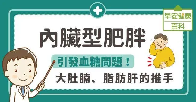內臟型肥胖：引發血糖問題！大肚腩、脂肪肝的推手