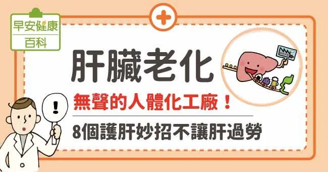 肝臟老化：無聲的人體化工廠！8個護肝妙招不讓肝過勞