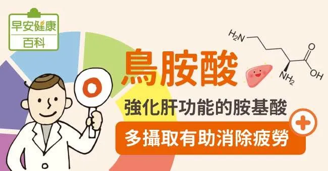 鳥胺酸：強化肝功能的胺基酸，蜆這樣處理含量高8倍