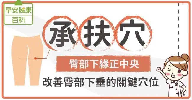 承扶穴：臀部下緣正中央，改善臀部下垂的關鍵穴位！