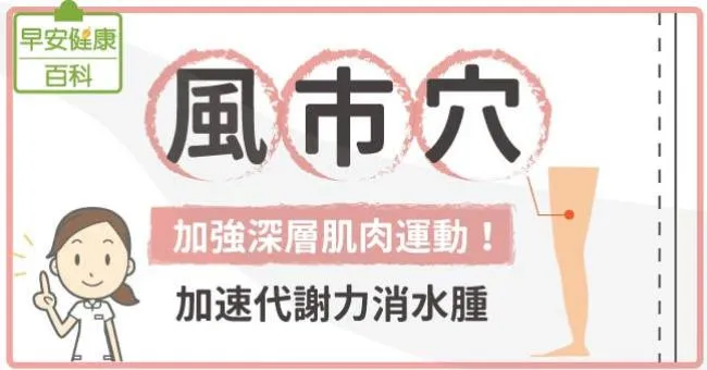風市穴：加強深層肌肉運動！加速代謝力消水腫