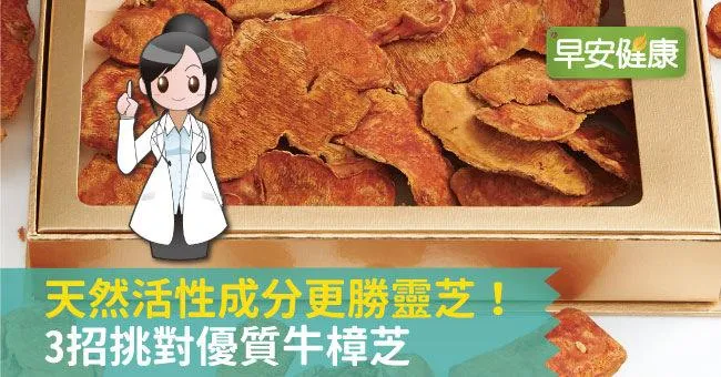 天然活性成分更勝靈芝！3招挑對優質牛樟芝