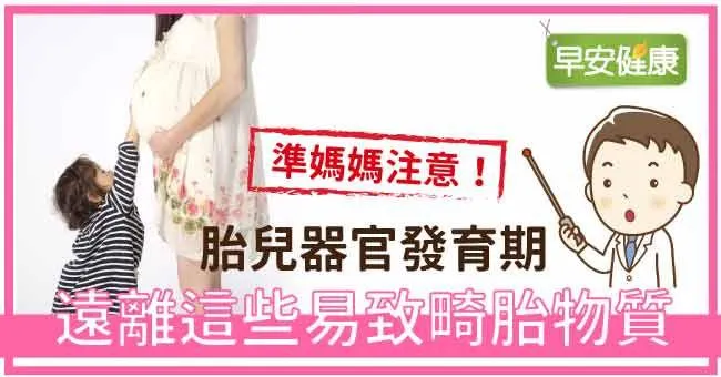 準媽媽注意！胎兒器官發育期，遠離這些易致畸胎物質
