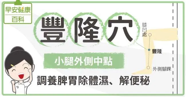 豐隆穴：沒事多按按小腿！調養脾胃除體濕、解便秘