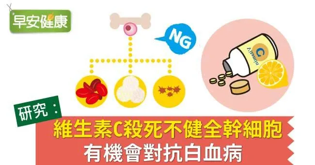 研究：維生素C殺死不健全幹細胞，有機會對抗白血病