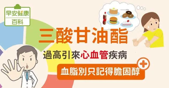 三酸甘油酯跟膽固醇一樣嗎？正常值範圍落在哪裡？