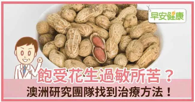 飽受花生過敏所苦？澳洲研究團隊找到治療方法！