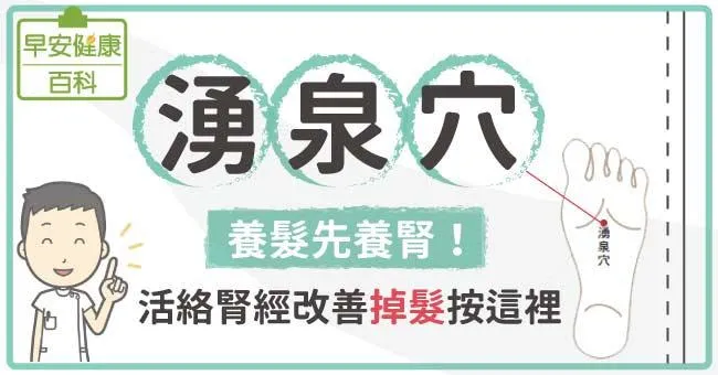 湧泉穴功效多！養腎生黑髮、消水腫助增高，一篇看懂湧泉穴位置與按法