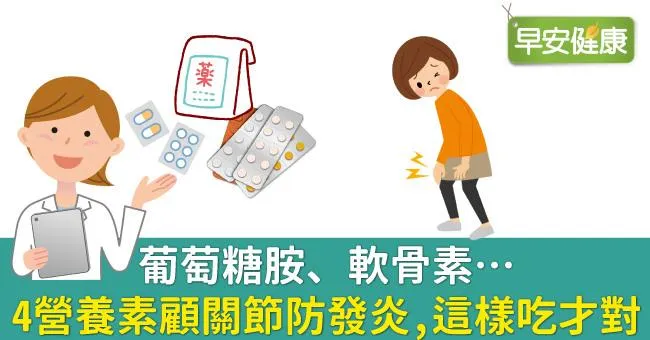 葡萄糖胺、軟骨素…4營養素顧關節防發炎，這樣吃才對