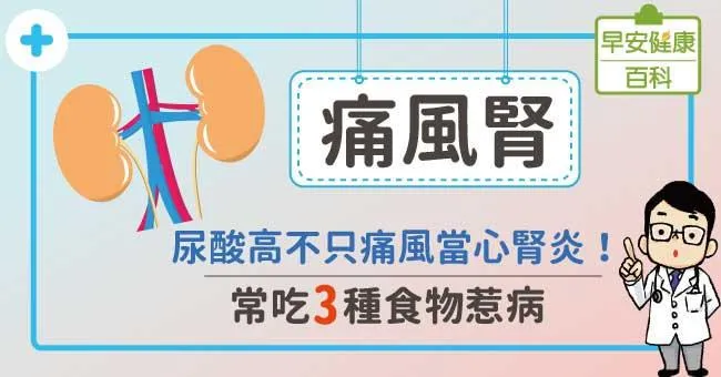 痛風腎有什麼症狀？如何預防與治療？