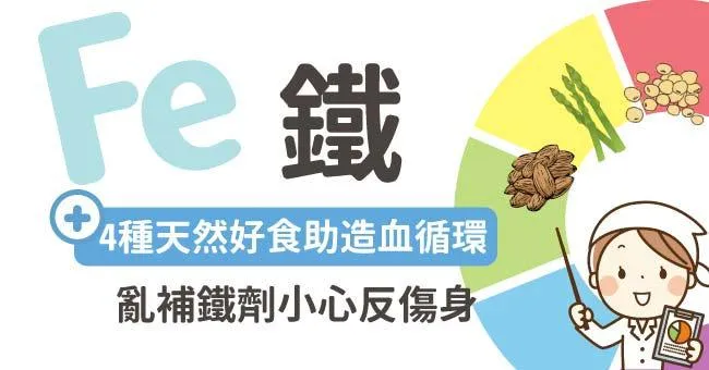 鐵：4種天然好食助造血循環，亂補鐵劑小心反傷身