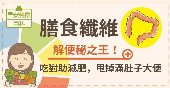 膳食纖維：解便秘之王！吃對助減肥，甩掉滿肚子大便