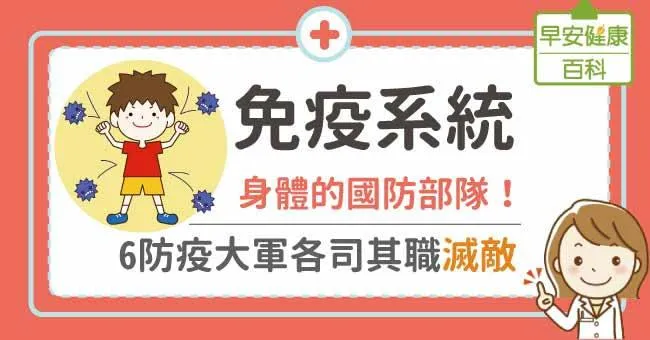 免疫系統：身體的國防部隊！6防疫大軍各司其職滅敵