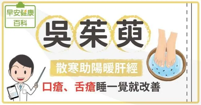 吳茱萸：散寒助陽暖肝經，口瘡、舌瘡睡一覺就改善