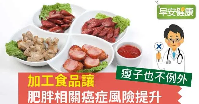 加工食品讓肥胖相關癌症風險提升，瘦子也不例外