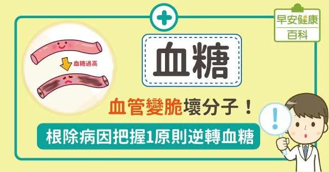 血糖：血管變脆壞分子！根除病因把握1原則逆轉血糖