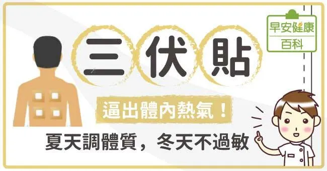 三伏貼：逼出體內熱氣！夏天調體質，冬天不過敏