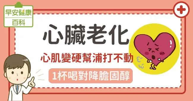 心臟老化：心肌變硬幫浦打不動，1杯喝對降膽固醇