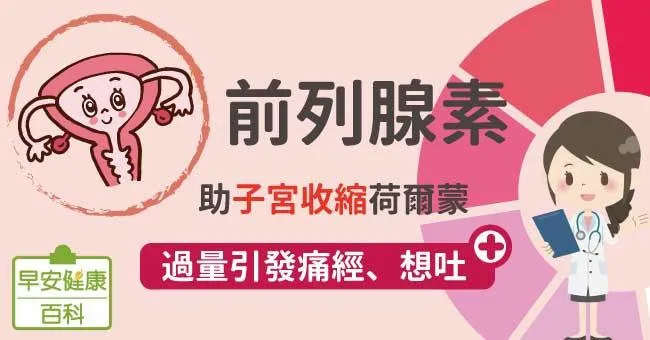 前列腺素：助子宮收縮荷爾蒙，過量引發痛經、想吐