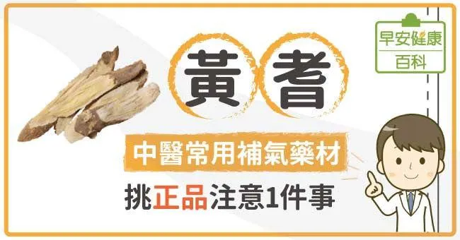 黃耆藥膳養生方，黃耆補脾養氣，提升防禦力！