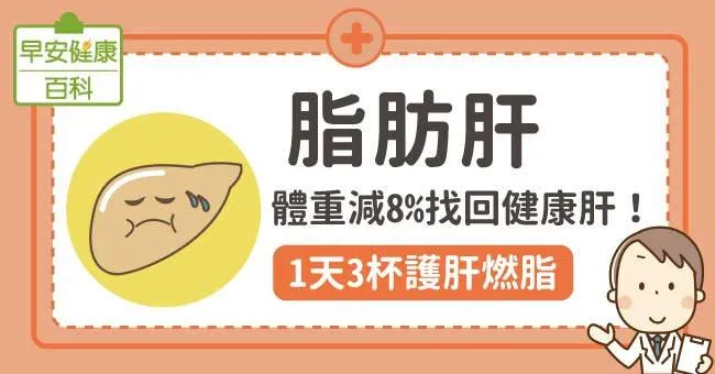 脂肪肝：體重減8％找回健康肝！1天3杯護肝燃脂