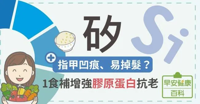 矽：指甲凹痕、易掉髮？1食補增強膠原蛋白抗老