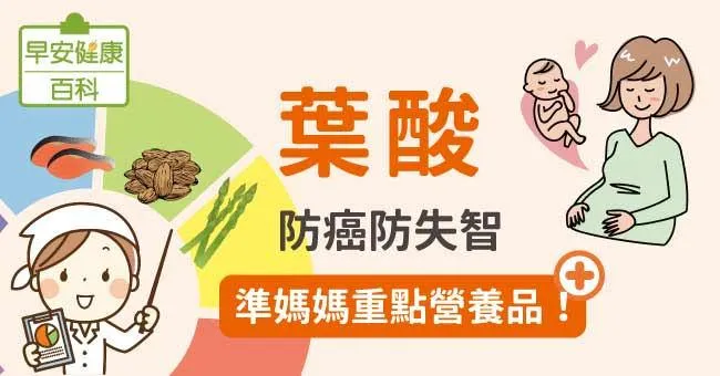 葉酸：防癌防失智，準媽媽重點營養品！