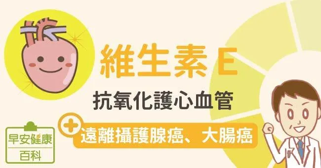 維生素E：抗氧化護心血管，遠離攝護腺癌、大腸癌
