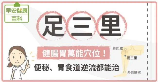 足三里：健腸胃萬能穴位！便秘、胃食道逆流都能治