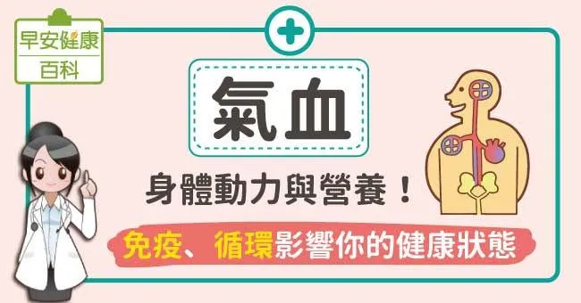 氣血：身體動力與營養！免疫、循環影響你的健康狀態