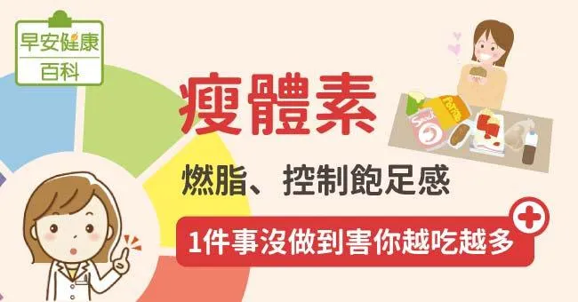 瘦體素：燃脂、控制飽足感，1件事沒做到害你越吃越多