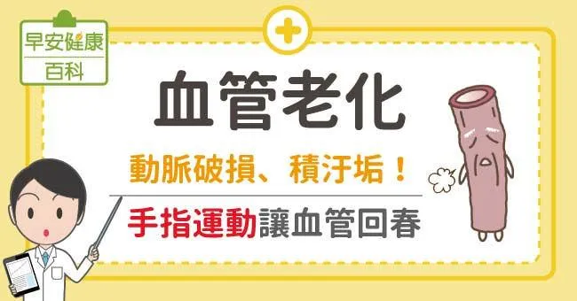 血管老化：動脈破損、積汙垢！手指運動讓血管回春