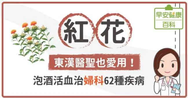 紅花：東漢醫聖也愛用！泡酒活血治婦科62種疾病