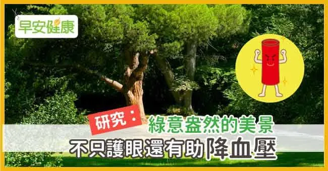 研究：綠意盎然的美景不只護眼，還有助降血壓