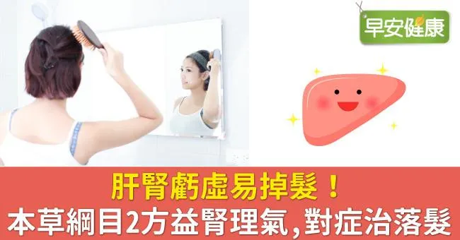肝腎虧虛易掉髮！本草綱目2方益腎理氣，對症治落髮
