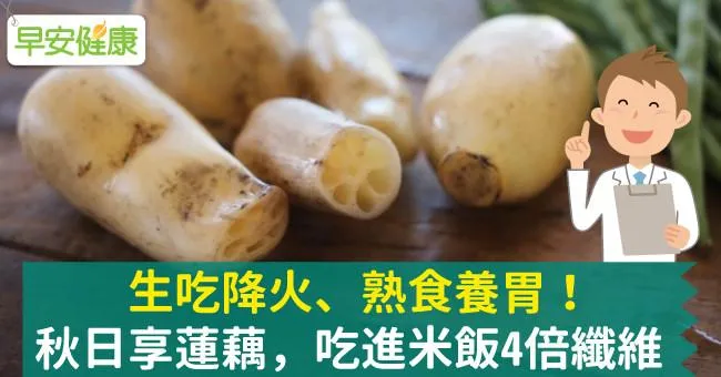 生吃降火、熟食養胃！秋日享蓮藕，吃進米飯4倍纖維
