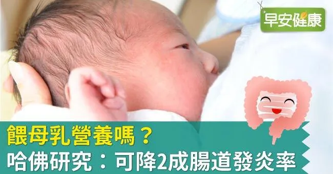 餵母乳營養嗎？哈佛研究：可降2成腸道發炎率