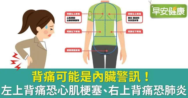 後背痛暗藏內臟警訊！左右上背痛大不同，一圖看懂背部疼痛的危險訊號
