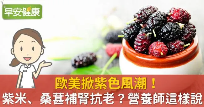 歐美掀紫色風潮！紫米、桑葚補腎抗老？營養師這樣說