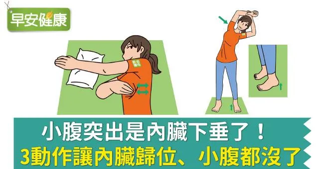 小腹突出是內臟下垂了！3動作讓內臟歸位、小腹都沒了