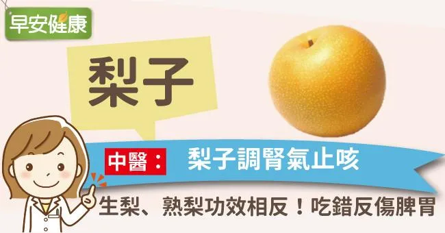 梨子調腎氣止咳，生梨、熟梨功效相反！吃錯反傷脾胃