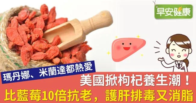 美國掀枸杞養生潮！比藍莓10倍抗老，護肝排毒又消脂
