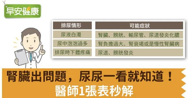 腎臟發炎？尿尿一看就知道！醫師1表秒解腎臟隱憂