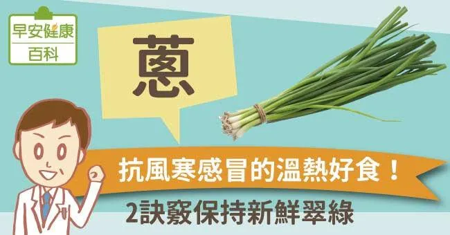 蔥：抗風寒感冒的溫熱好食！2訣竅保持新鮮翠綠